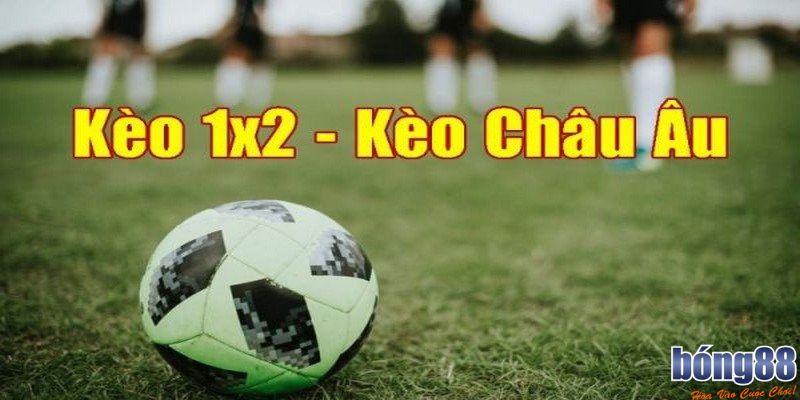 Kèo Châu Âu - Khám Phá Sự Hấp Dẫn Của Loại Hình Này 2 Khám phá kèo châu âu